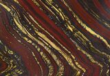 Tiger Iron Stromatolite Shower Tile - Billion Years Old #48790-1
